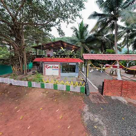 The Exotica Agonda Hotel Luaran gambar