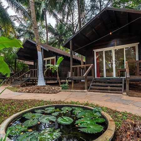 The Exotica Agonda Hotel Luaran gambar