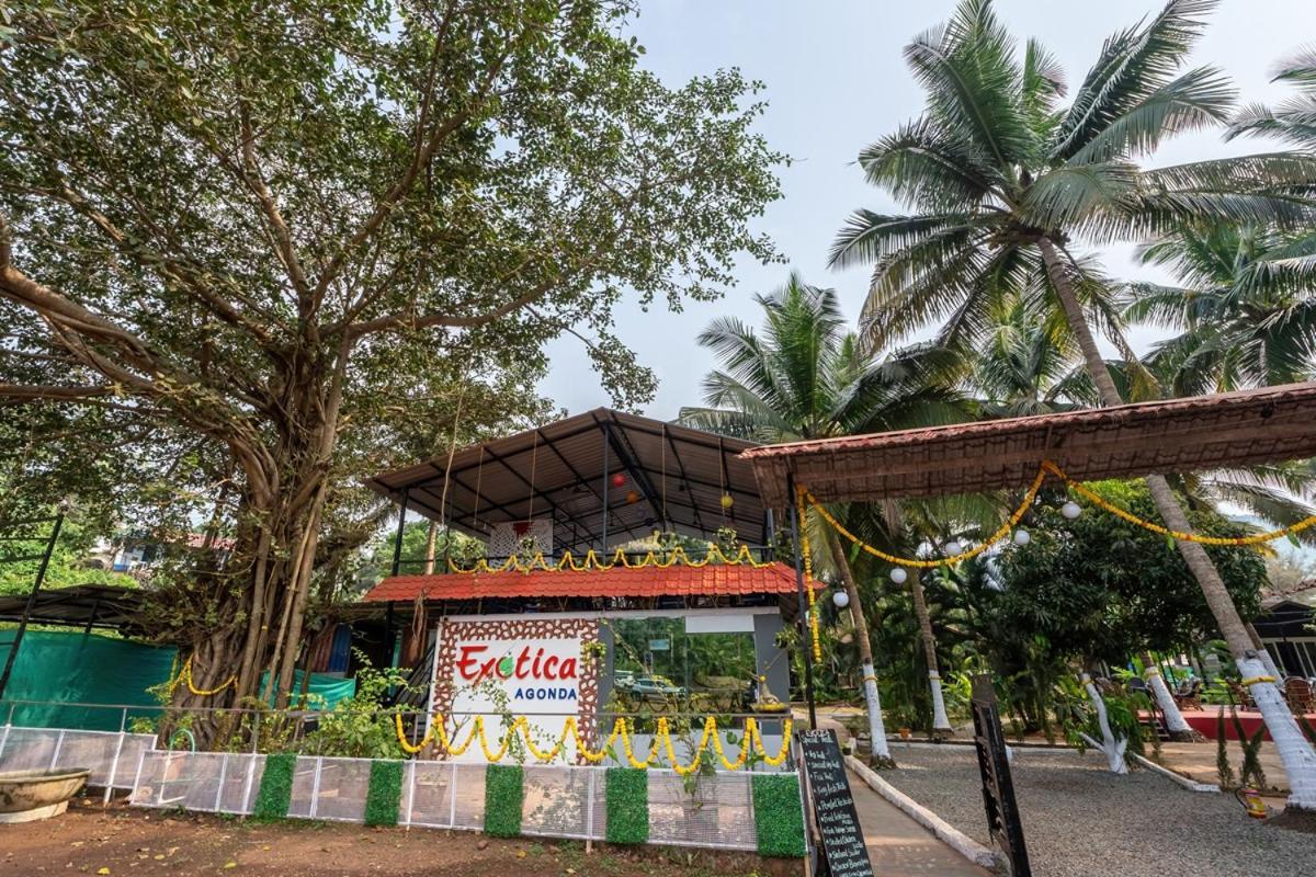 The Exotica Agonda Hotel Luaran gambar